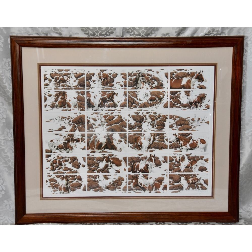 Bev Doolittle Limited Edition Signed & Numbered Hide and Seek Horses Framed Art